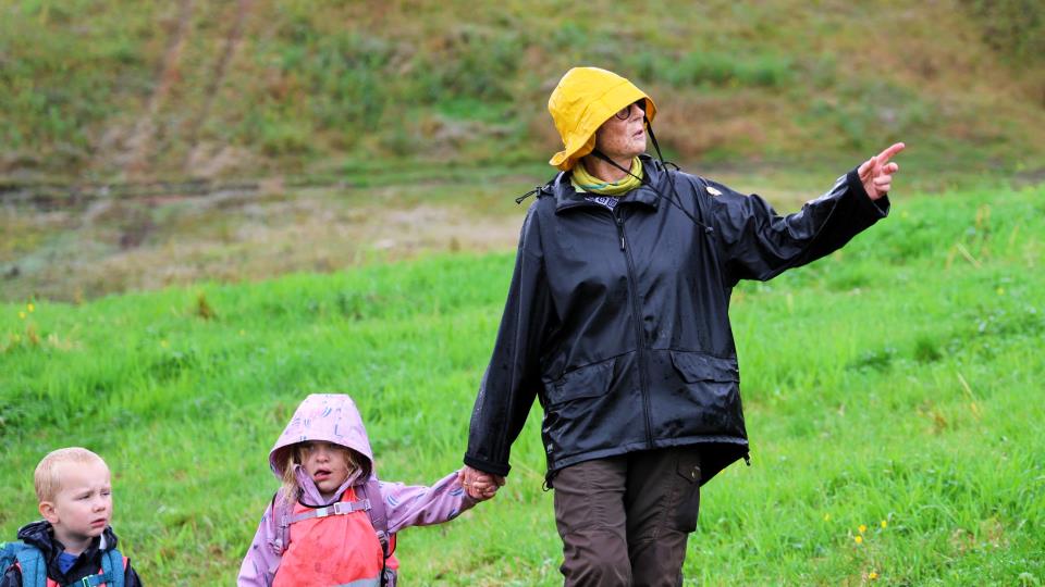 Lenke til artikkel: Lillian begynte å jobbe igjen som pensjonist: – Jeg kan og jeg vil